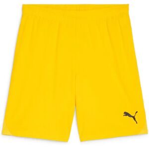 Puma Herren, Sporthose, teamGOAL Shorts (S) - Sports Shorts Puma Herren, Sporthose, teamGOAL Shorts (S) - Sports Shorts