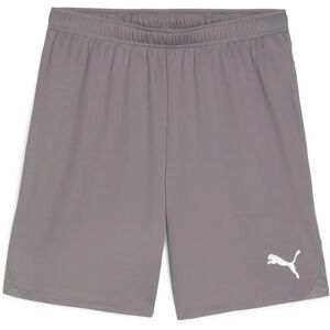 Puma Herren, Sporthose, teamGOAL Shorts (3XL), Grau - Sporthose Puma Herren, Sporthose, teamGOAL Shorts (3XL), Grau - Sporthose