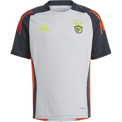Adidas Kindertrikot Benfica Lissabon Tiro 2024/25 - Gris - unisex - Size: 5/6 ans Adidas Kindertrikot Benfica Lissabon Tiro 2024/25 - Gris - unisex - Size: 5/6 ans