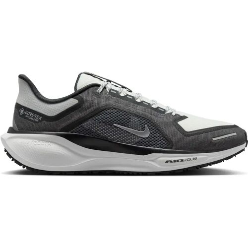 Laufschuhe Nike Pegasus 41 GORE-TEX - Noir - male - Size: 45