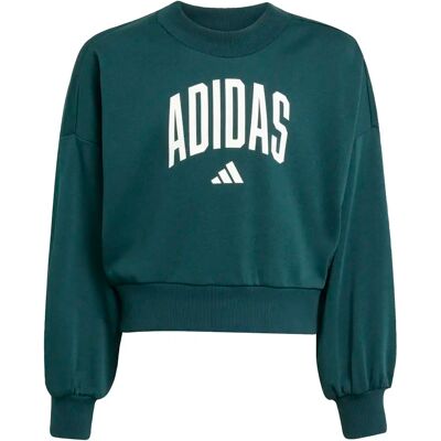 Pullover Mädchen adidas Essentials Collegiate Typography - Vert - female - Size: 9/10 ans Pullover Mädchen adidas Essentials Collegiate Typography - Vert - female - Size: 9/10 ans