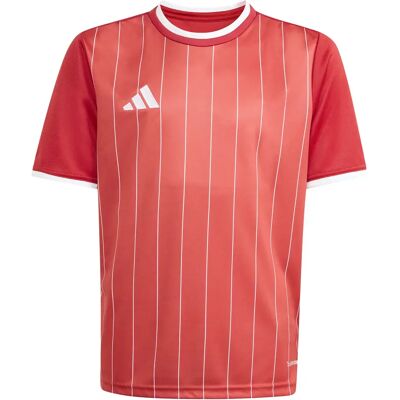 Kindertrikot adidas Entrada26 Graphic Rouge 9/10 ans Kindertrikot adidas Entrada26 Graphic Rouge 9/10 ans