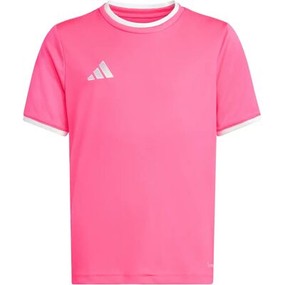 Kindertrikot adidas Entrada26 Rose 5/6 ans Kindertrikot adidas Entrada26 Rose 5/6 ans