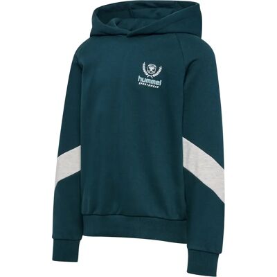 Hoodie Kinder Hummel BTS Gris 9/10 ans Hoodie Kinder Hummel BTS Gris 9/10 ans