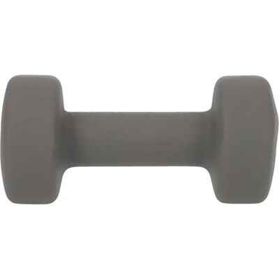 Hanteln Endurance Gris 2 kg Hanteln Endurance Gris 2 kg