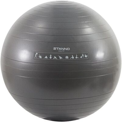 Trainingsball Stanno Grau 65 cm Trainingsball Stanno Grau 65 cm