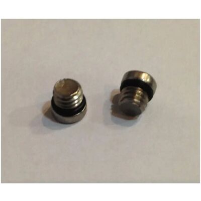 Münzen Sram Juicy Reserv Bleed Screworing Ss (x20) Noir Münzen Sram Juicy Reserv Bleed Screworing Ss (x20) Noir