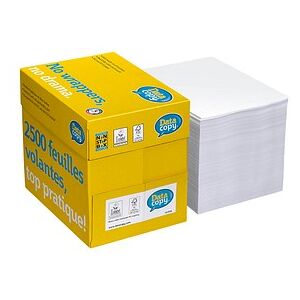 Data copy Kopierpapier Everyday Printing DIN A4 80 g/qm 2.500 Blatt Maxi-Box