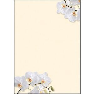 SIGEL Motivpapier White Orchid Motiv DIN A4 90 g/qm 50 Blatt