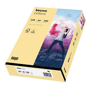 tecno Kopierpapier colors chamois DIN A4 160 g/qm 250 Blatt