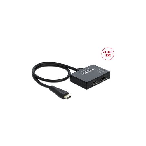 DeLOCK HDMI, 4K 60 Hz  HDMI Splitter