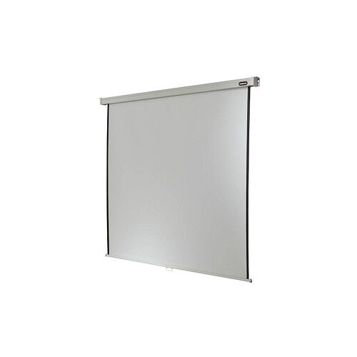 celexon Rolloleinwand Professional 1:1, 200 x 200 cm Projektionsfläche