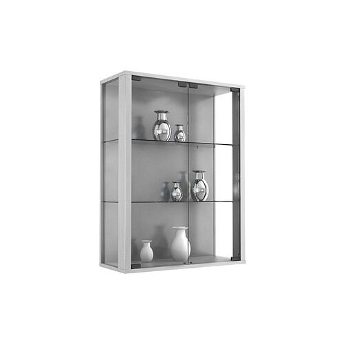 VCM my home Udina Hängevitrine silber 2 Fachböden