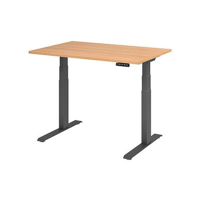 HAMMERBACHER Elektrischer höhenverstellbarer Schreibtisch - 120x80cm Eiche HAMMERBACHER Elektrischer höhenverstellbarer Schreibtisch - 120x80cm Eiche