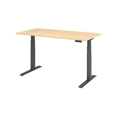 Hammerbacher Stehschreibtisch - Elektrisch Höhenverstellbar - Ahorn - 160x80 cm Hammerbacher Stehschreibtisch - Elektrisch Höhenverstellbar - Ahorn - 160x80 cm