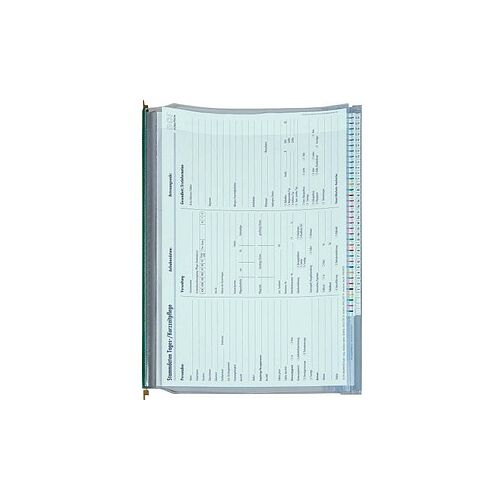 BOI Planettentaschen Kunststoff grün DIN A4 2x Klemmleiste, 10 St.