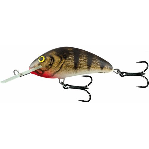 Salmo Schwimmender Köder Salmo Hornet 36g – Argenté