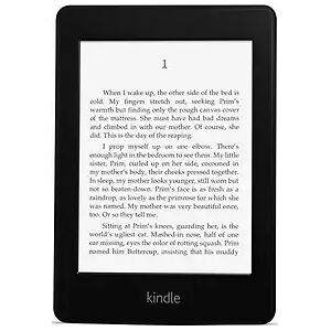 Amazon Kindle Paperwhite 6 2GB [Wi-Fi, 2. Generation] schwarzA1