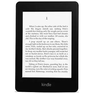 Amazon Kindle Paperwhite 6 4GB [Wi-Fi, 2. Generation] schwarzA1