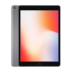 Apple iPad 10,2 32GB [Wi-Fi, Modell 2020] space grauA1