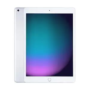 Apple iPad 10,2 32GB [Wi-Fi, Modell 2019] silberA1