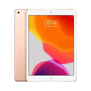 Apple iPad 10,2 32GB [Wi-Fi, Modell 2019] goldA1