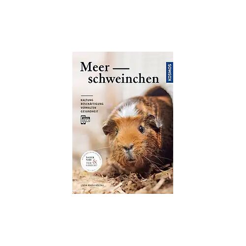 Kosmos Meerschweinchen