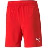 Puma teamFINAL Short Rot F01 - XL