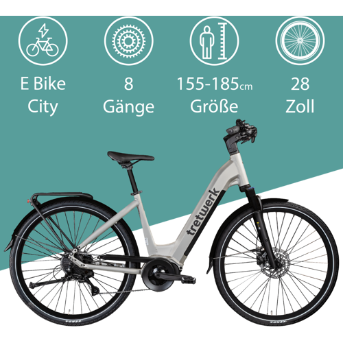 Tretwerk Amber E Bike Damen 28 Zoll Elektrofahrrad 155 - 185 cm Hollandrad Tiefeinsteiger mit 8 Gang Schaltung
