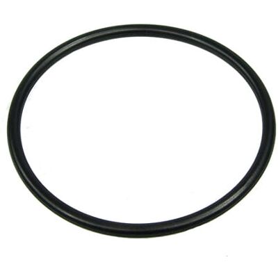 Aquatuning O-Ring 48 x 2,5mm (Laing DDC Pumpe) Aquatuning O-Ring 48 x 2,5mm (Laing DDC Pumpe)