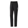 adidas TERREX XPERIOR SOFT SHELL Laufhose Damen Gr. 34