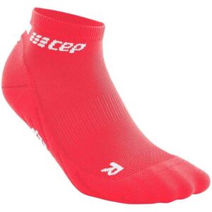 CEP THE RUN Low Cut V4 Damen Laufsocke pink Gr. 34-37