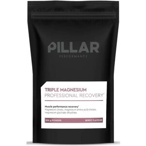 PILLAR Triple Magnesium Powder Nachfüllpack Berry