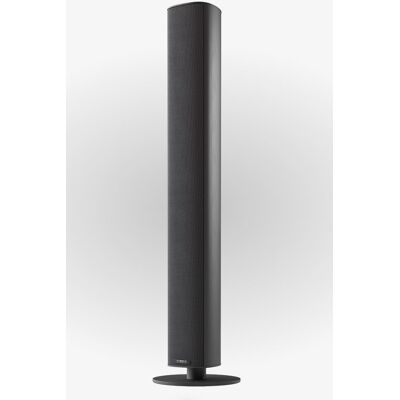 Piega Ace 50 Standlautsprecher Stück Neu Schwarz sandgestrahlt Piega Ace 50 Standlautsprecher Stück Neu Schwarz sandgestrahlt