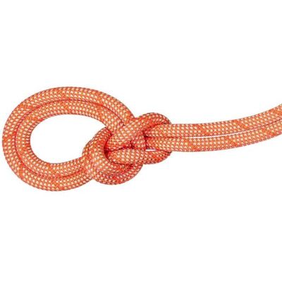 Mammut 9.8 Crag Classic Rope - Kletterseil - 50m Mammut 9.8 Crag Classic Rope - Kletterseil - 50m