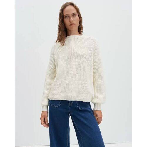 Tellina texture female