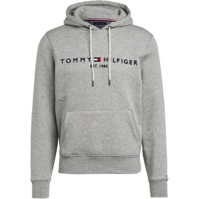 XXXL CORE TOMMY LOGO HOODY male XXXL CORE TOMMY LOGO HOODY male