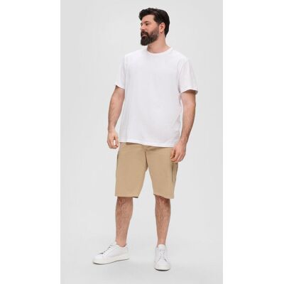 48 Bermuda male 48 Bermuda male