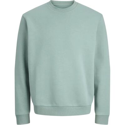 JJEBRADLEY SWEAT CREW NOOS male JJEBRADLEY SWEAT CREW NOOS male