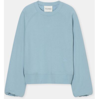 Raglan sweatshirt female Raglan sweatshirt female