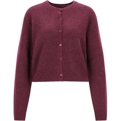 XL Sfebra 10276353 01 female XL Sfebra 10276353 01 female