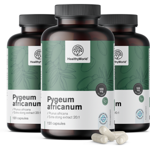 HealthyWorld 3x Pygeum – Extrakt aus afrikanischem Pflaumenbaum, zusammen 360 Kapseln