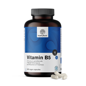 HealthyWorld Vitamin B5 500 mg, 240 Kapseln