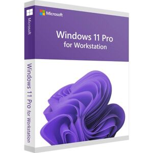 Microsoft Windows 11 Pro for Workstation