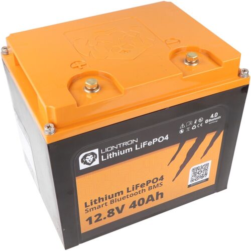 LIONTRON LiFePO4 Akku Smart BMS 12,8V, 40Ah - Vollwertiger Ersatz für 12 Volt Blei-Akkus