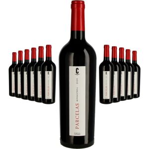 Bodegas Castaño Paket 12 Flaschen Castano Parcelas 2021 rot 0.75 l