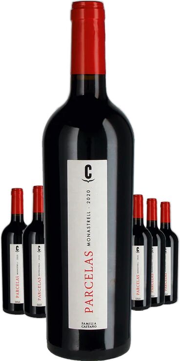 Bodegas Castaño Paket 6 Flaschen Parcelas - VEGAN 2021 rot 0.75 l