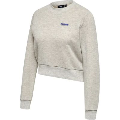 Kurzes Sweatshirt für Frauen Hummel LGC Shai Gris XS Kurzes Sweatshirt für Frauen Hummel LGC Shai Gris XS