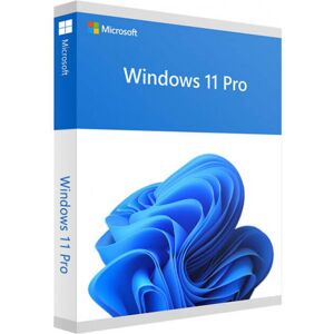 Windows 11 Professional 64 bit - Microsoft Lizenz