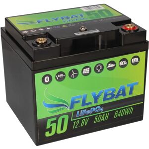 FLYBAT LiFePO4 Akku 12V (12,8V) 50Ah inkl. Bluetooth und CanBus